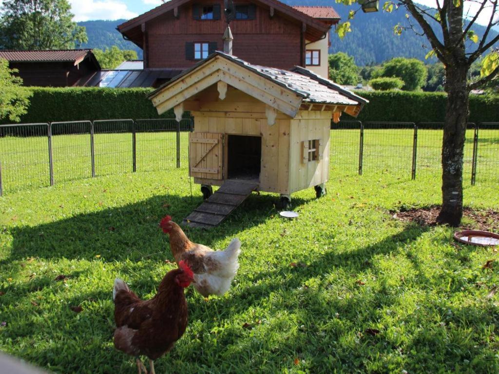 Отель Haus Mariengrund Шёнау-ам-Кёнигсзе Экстерьер фото